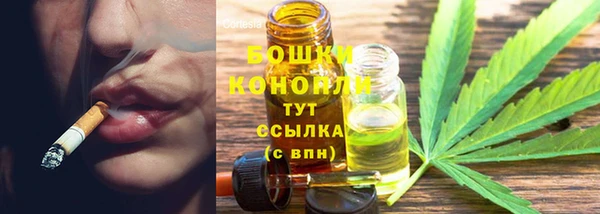 прущие крисы Арсеньев