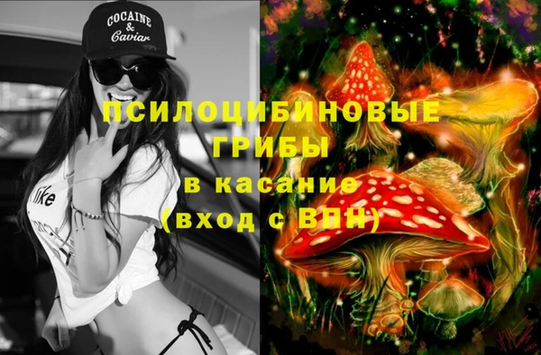 2c-b Аркадак