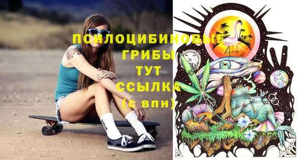 прущие крисы Арсеньев